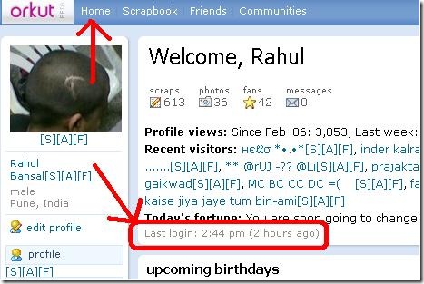 orkut last login