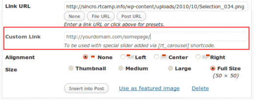Custom Field in media upload