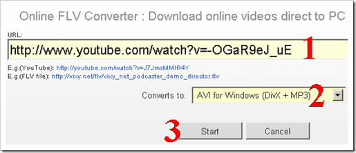 Vixy online FLV to AVI Conversion