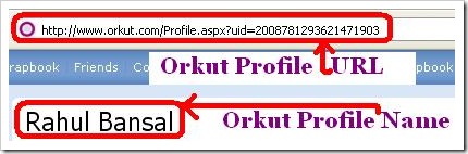 Orkut Profile Name and URL