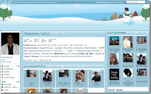 Snowman Orkut Theme