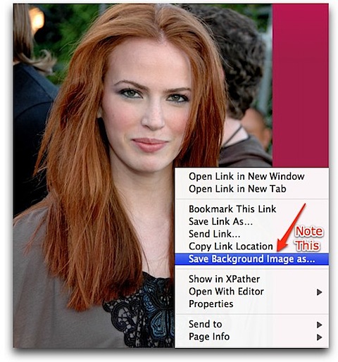 Backgroundimage Saver Extension for Firefox.jpg