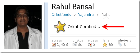 Rahul Bansal - Orkut Profile - Orkut Certified Screenshot