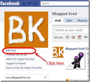 Facebook Page Blogspot Knol Edit