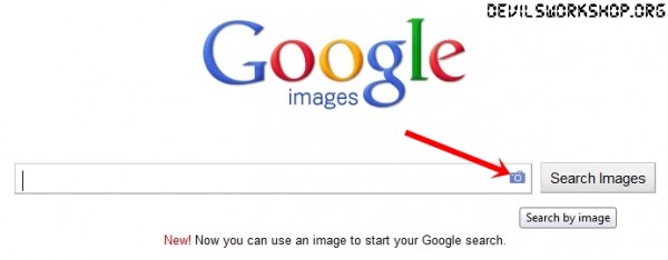 How To Use Reverse Google Image Search